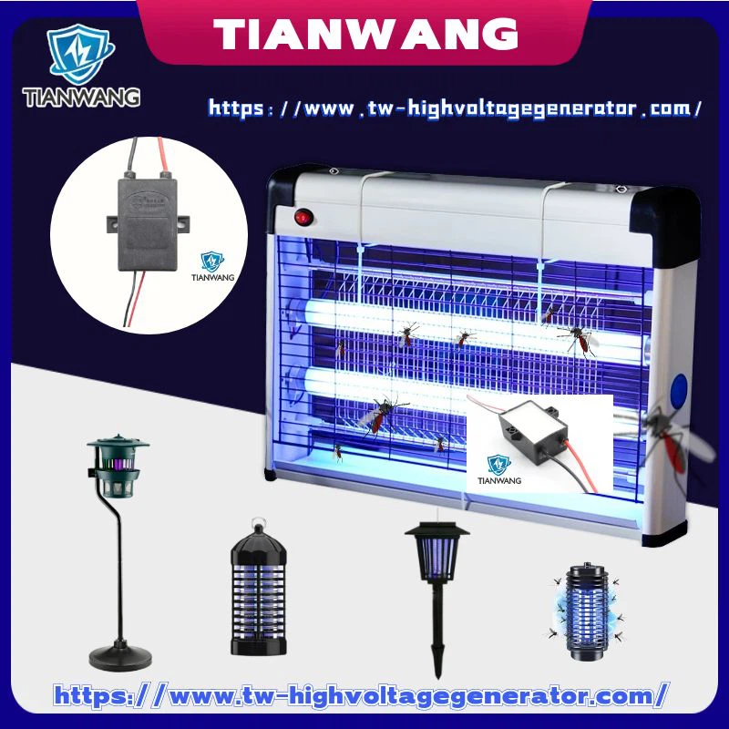 product-800-800 product-800-800