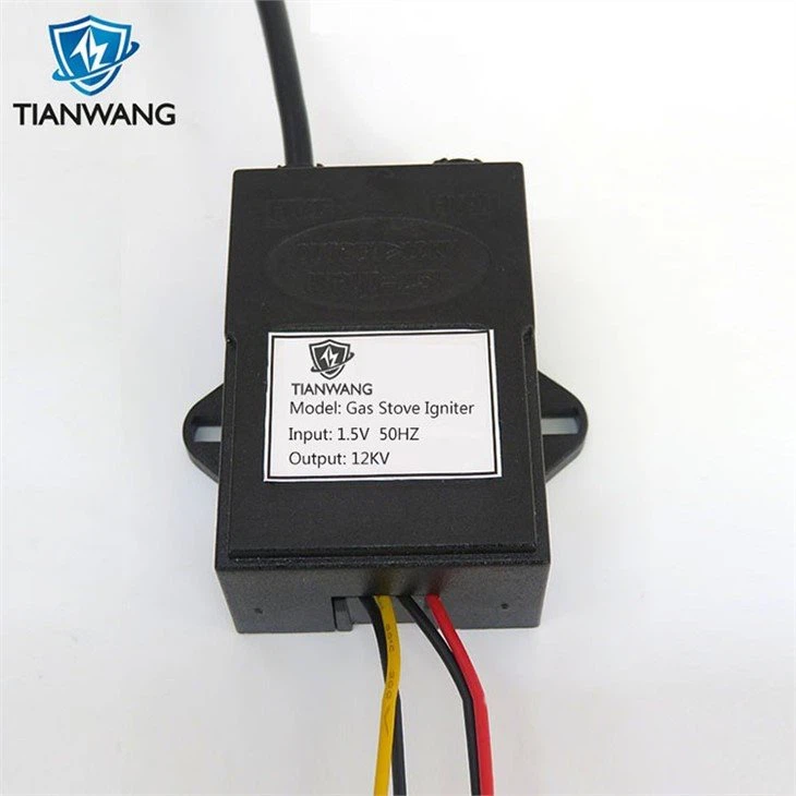 Electronic Pulse Igniter